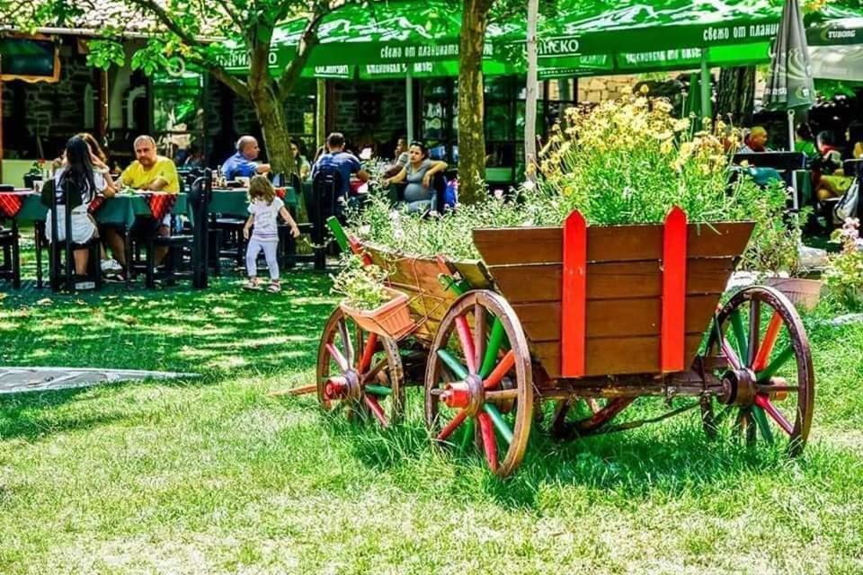 Hotel Izvora - Garden Retreat ارباناسي المظهر الخارجي الصورة